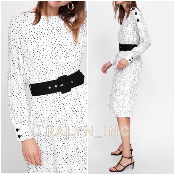 ❤️NWT ZARA POLKA DOT DRESS WITH CONTRASTING BELT - Picture 3 of 9